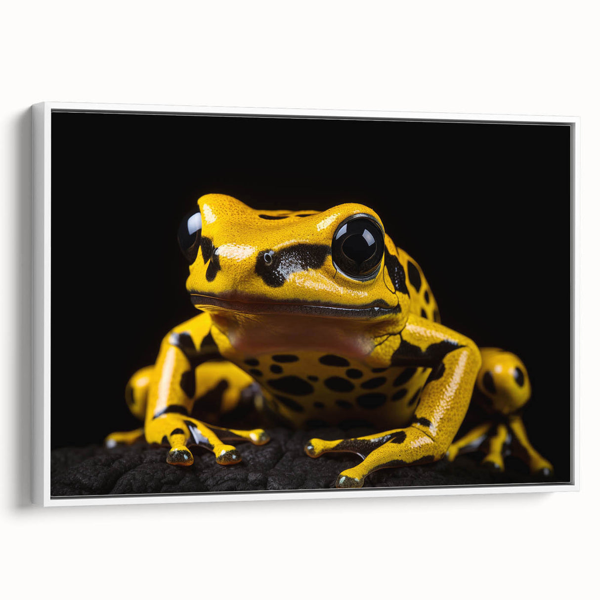 Framed canvas wall art featuring a colorful frog design set against a white background, showcasing vibrant hues and intricate details, perfect for nature lovers.