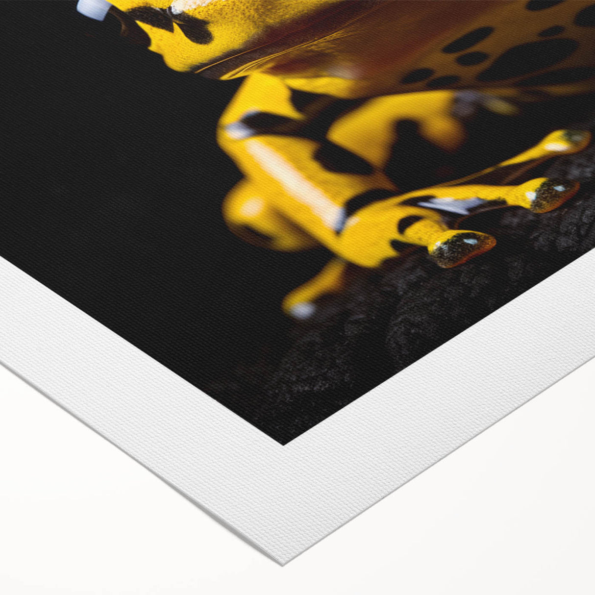 Vibrant rolled canvas wall art featuring a colorful jungle frog design, ideal for animal lovers and nature enthusiasts, showcasing intricate details and rich hues. Perfect for home decor and wildlife-themed spaces.
