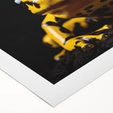 Vibrant rolled canvas wall art featuring a colorful jungle frog design, ideal for animal lovers and nature enthusiasts, showcasing intricate details and rich hues. Perfect for home decor and wildlife-themed spaces.