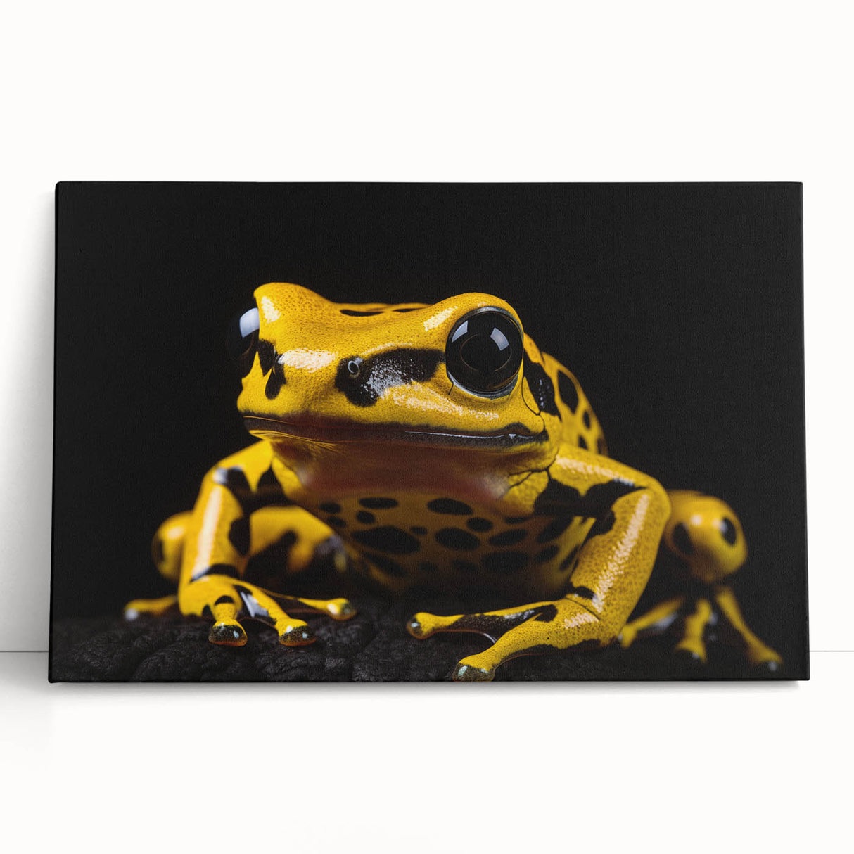 Vibrant stretched canvas wall art featuring a detailed frog design, showcasing bold colors and intricate textures, perfect for nature lovers' home decor.