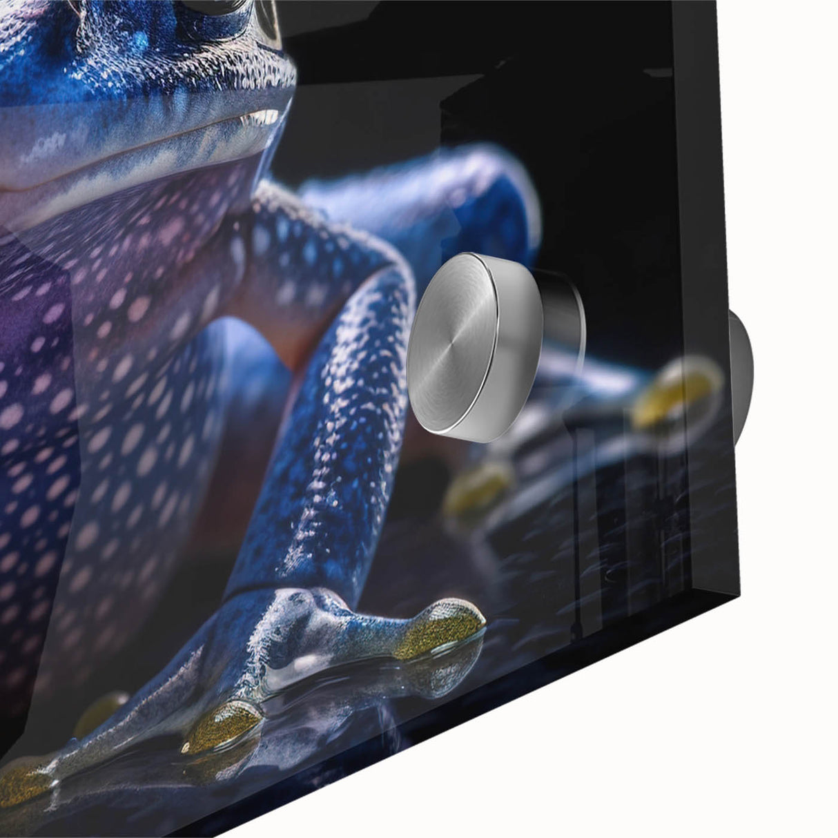 Close-up of a vibrant frog design wall art piece, showcasing intricate details and vivid colors on acrylic glass, ideal for wildlife decor enthusiasts.