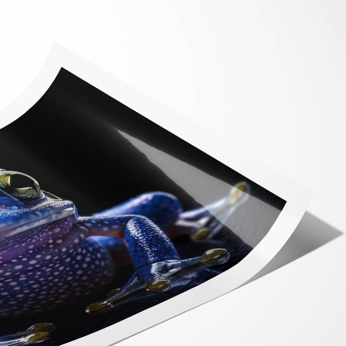 Vibrant rolled print of a whimsical frog design from the Animals A Wild Life collection, showcasing rich colors and intricate details, ideal for nature-themed decor.