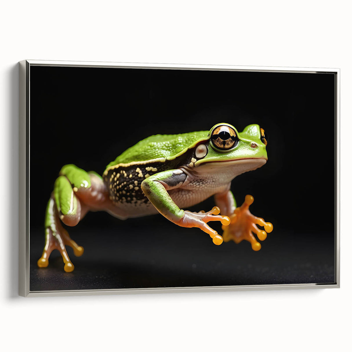 Framed wall art featuring a vibrant frog design in a silver frame, showcasing intricate details and colors, perfect for nature lovers and home decor enthusiasts.