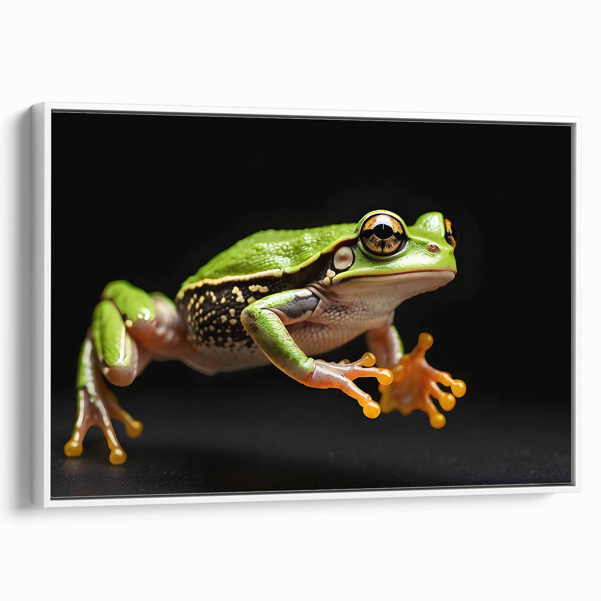 Framed wall art featuring a vibrant frog design in a white frame, showcasing intricate details and colors, perfect for animal lovers and nature enthusiasts.