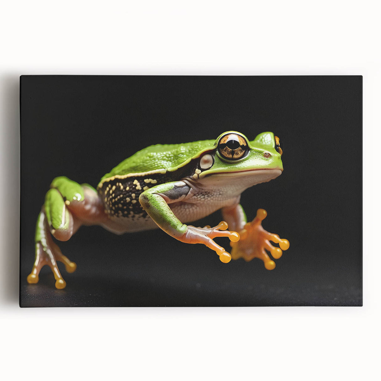 Vibrant stretched canvas artwork showcasing a colorful frog design, ideal for animal lovers, featuring intricate details and a lively green background, perfect for home decor.