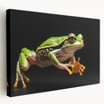 Vibrant stretched canvas wall art featuring a whimsical frog design in a lush green setting, perfect for animal lovers and nature-inspired decor.