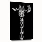 Acrylic glass wall art showcasing a side view of a vibrant giraffe design, featuring intricate patterns and colors that highlight wildlife beauty and artistry. Perfect for animal lovers and home decor enthusiasts.