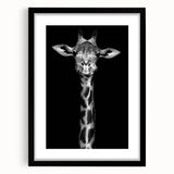 Framed wall art featuring a stylish giraffe design in black and white, set against a sleek black mat, perfect for adding a modern touch to any room.