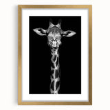 Framed giraffe wall art featuring a striking gold mat, showcasing a vibrant wildlife design perfect for modern decor. Ideal for animal lovers and nature enthusiasts.