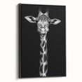 Framed canvas wall art featuring a side view of a graceful giraffe against a minimalist black background, ideal for wildlife-themed decor and animal lovers.