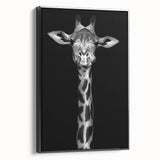 Framed canvas wall art featuring a side view of a graceful giraffe against a minimalist black background, ideal for wildlife-themed decor and animal lovers.