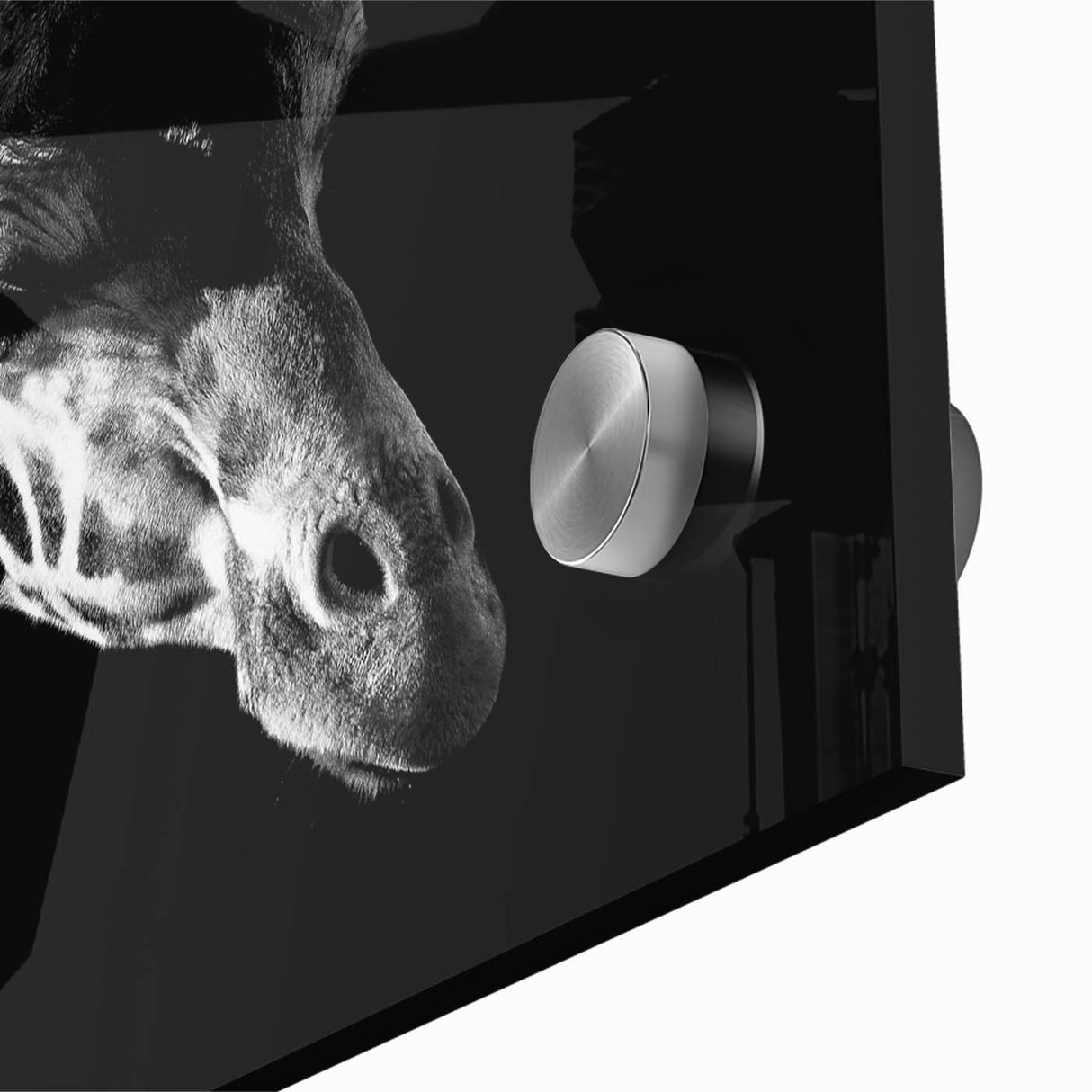 Close-up of a vibrant acrylic glass wall art piece featuring a giraffe design, showcasing intricate details and natural colors, perfect for animal lovers' decor.