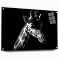 Acrylic glass wall art featuring a vibrant side view of a giraffe design, showcasing intricate colors and patterns, ideal for animal lovers and home decor enthusiasts.