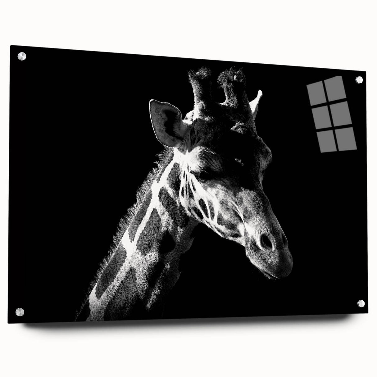 Acrylic glass wall art featuring a vibrant side view of a giraffe design, showcasing intricate colors and patterns, ideal for animal lovers and home decor enthusiasts.