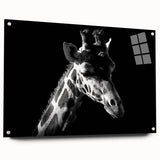 Acrylic glass wall art featuring a vibrant side view of a giraffe design, showcasing intricate colors and patterns, ideal for animal lovers and home decor enthusiasts.