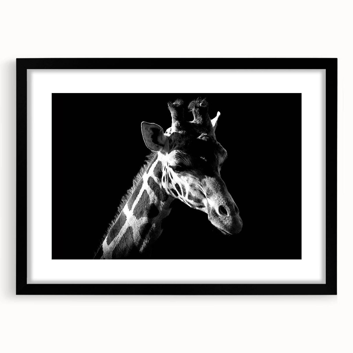 Black-framed wall art showcasing a vibrant giraffe design, part of a wildlife collection, featuring intricate details and a stylish mat for enhanced display.