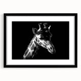 Black-framed wall art showcasing a vibrant giraffe design, part of a wildlife collection, featuring intricate details and a stylish mat for enhanced display.