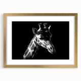 Giraffe-themed wall art collection framed in gold, showcasing a beautifully detailed illustration of a giraffe against a vibrant background, perfect for animal lovers.