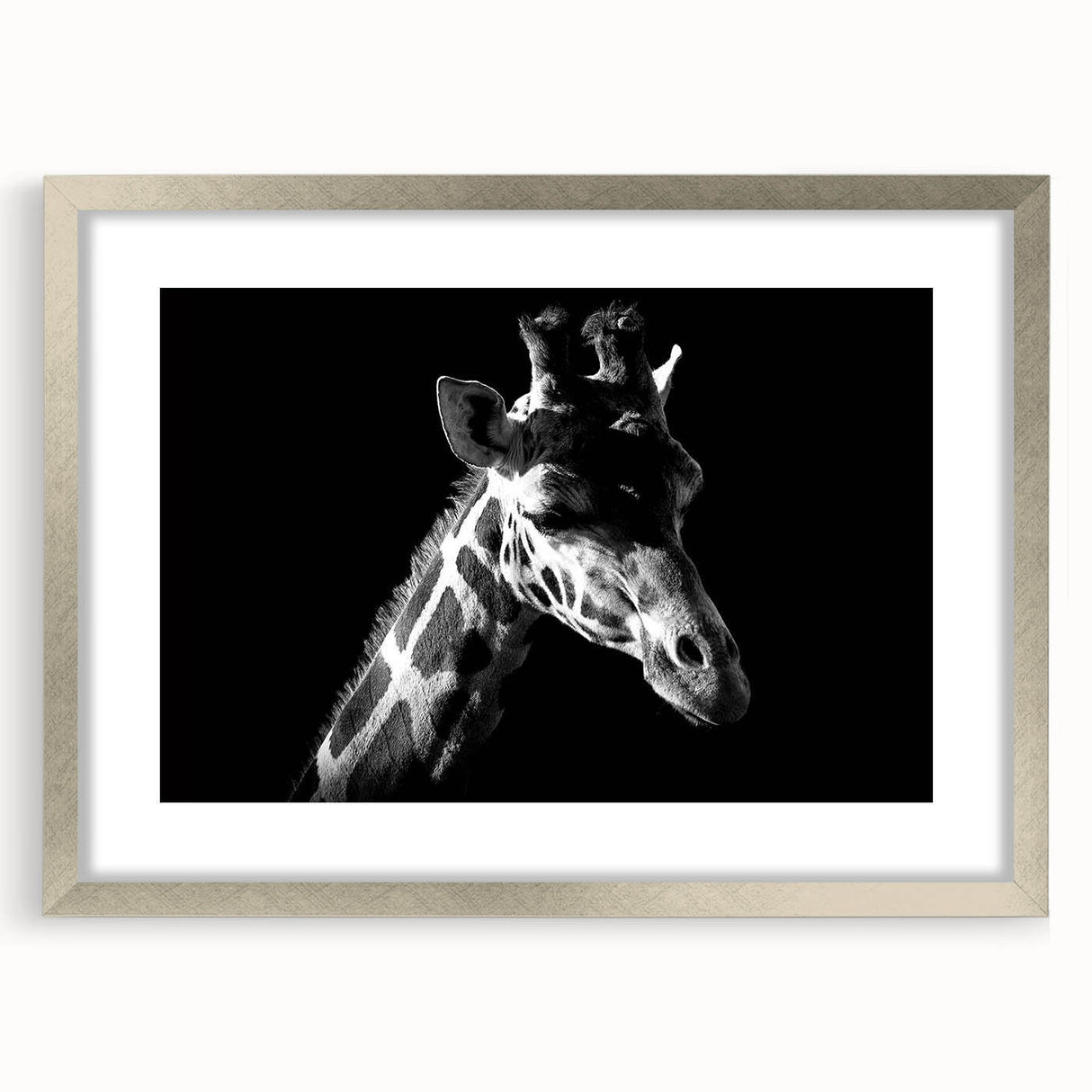 Silver-framed wall art featuring a giraffe design, showcasing a vibrant, colorful depiction of wildlife. The artwork is elegantly matted, perfect for home decor.