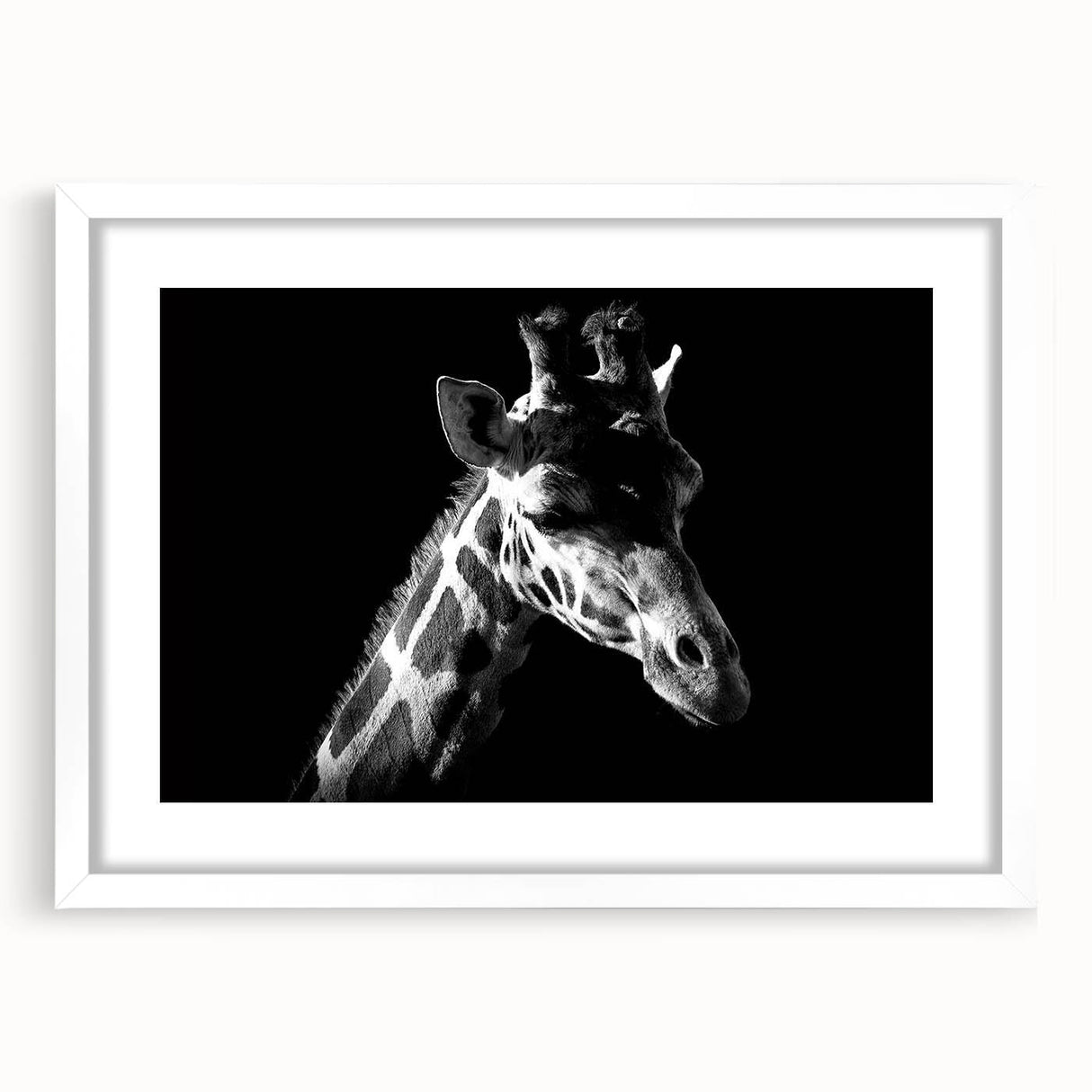 Giraffe-themed wall art print in a white frame, showcasing a vibrant design of a giraffe surrounded by greenery, ideal for animal lovers and modern home decor.