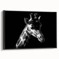 Framed canvas wall art showcasing a striking black and white design of a giraffe in profile, perfect for animal lovers and modern decor enthusiasts.