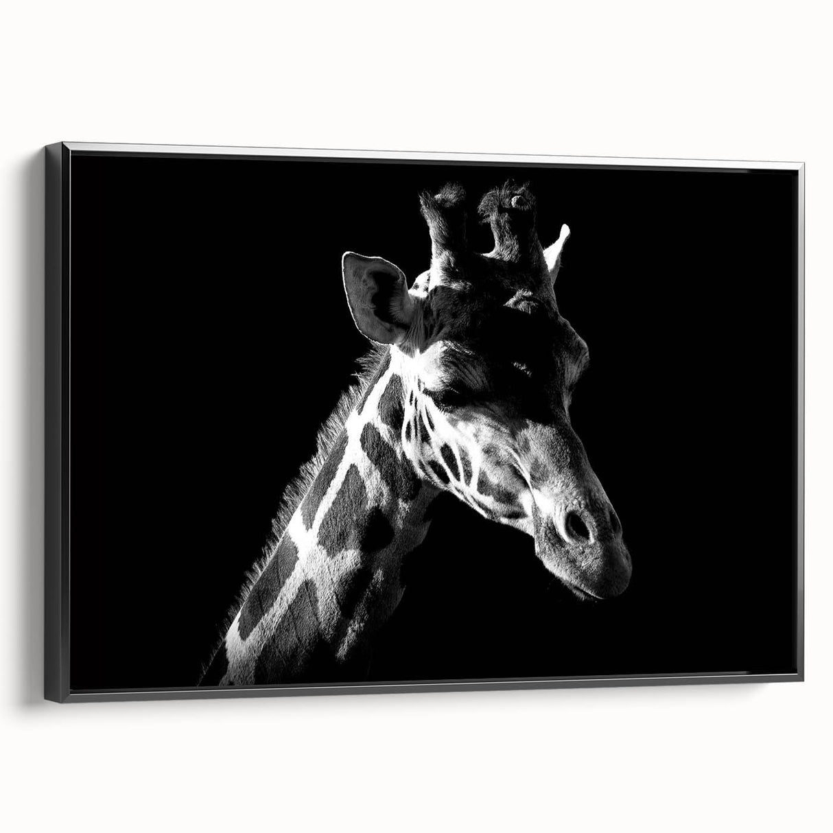 Framed canvas wall art showcasing a striking black and white design of a giraffe in profile, perfect for animal lovers and modern decor enthusiasts.