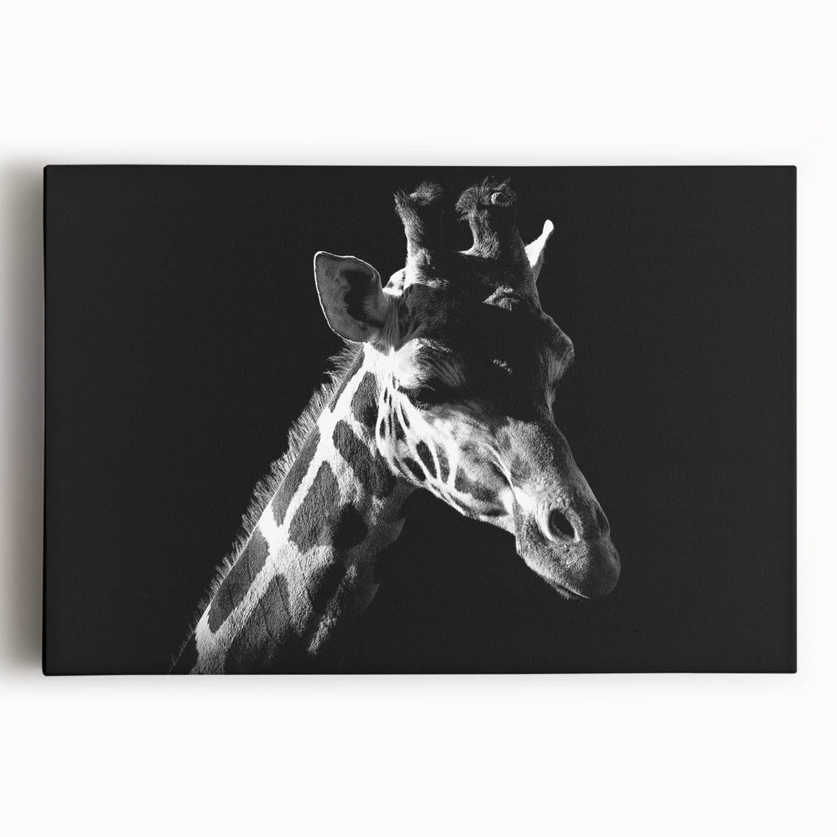 Vibrant stretched canvas wall art depicting a majestic giraffe in a lush savanna landscape, showcasing intricate details and vivid colors for wildlife enthusiasts.