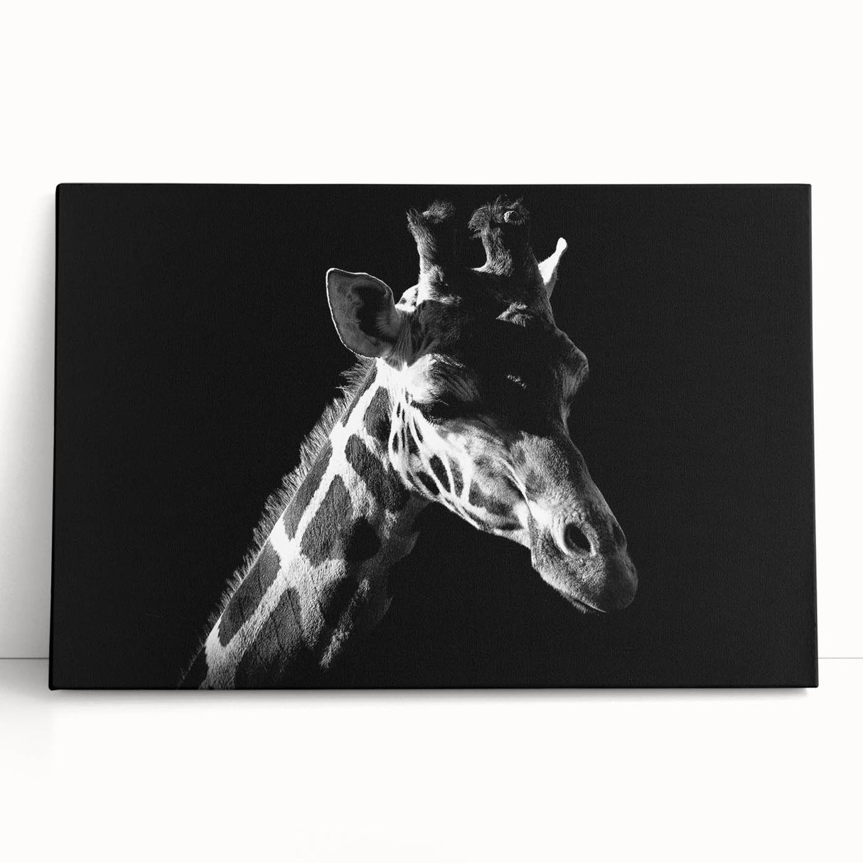 Stretched canvas wall art featuring a vibrant giraffe design, showcasing rich colors and intricate details, perfect for animal lovers and home decor enthusiasts.
