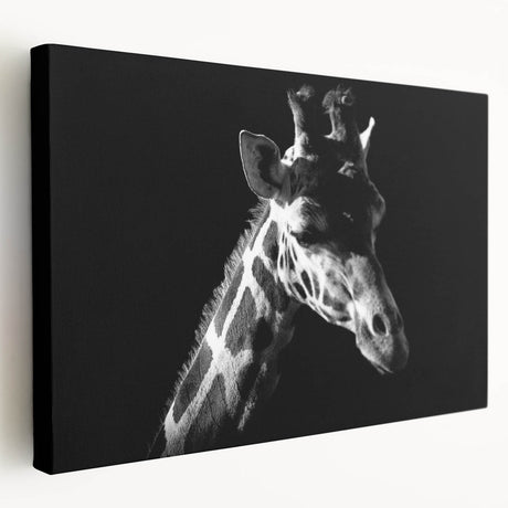 Stretched canvas wall art showcasing a side view of a majestic giraffe surrounded by vibrant colors, perfect for animal lovers and modern decor enthusiasts.