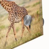 Close-up of a vibrant acrylic glass wall art piece featuring a beautifully detailed giraffe design, showcasing its unique patterns and colors, perfect for animal lovers.