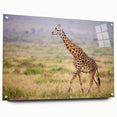 Side view of a giraffe wall art design featuring vibrant colors and intricate details, printed on acrylic glass, ideal for wildlife-themed decor. Perfect for animal lovers and modern interiors.