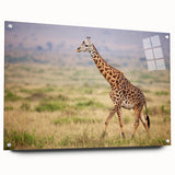 Side view of a giraffe wall art design featuring vibrant colors and intricate details, printed on acrylic glass, ideal for wildlife-themed decor. Perfect for animal lovers and modern interiors.