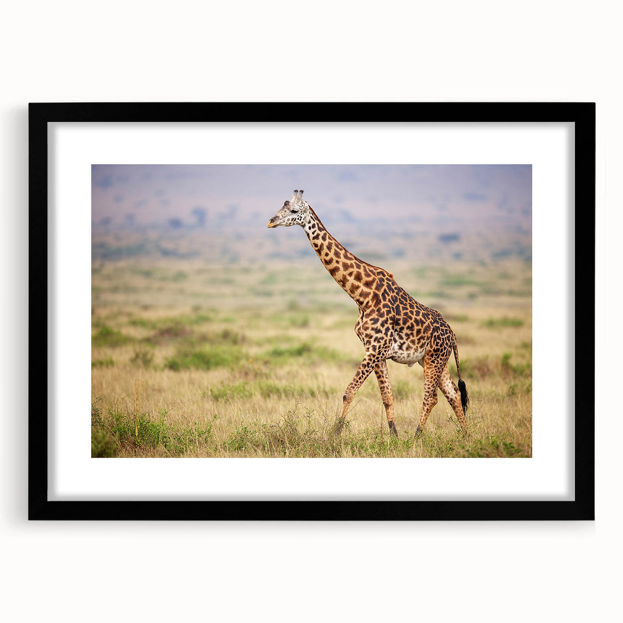 Framed wall art showcasing a striking giraffe design with intricate details, set in a sleek black frame, ideal for enhancing modern decor and animal lovers’ spaces.