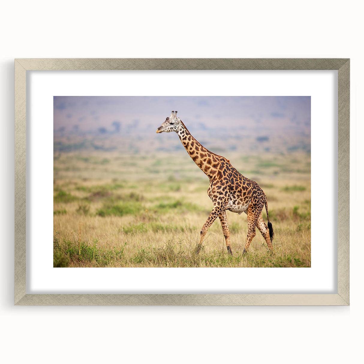 Giraffe wall art framed in silver, showcasing a vibrant wildlife design with intricate details, perfect for adding a touch of nature to any room.