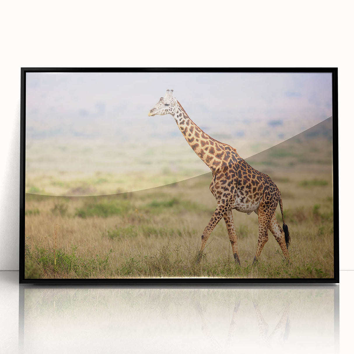 Framed acrylic wall art showcasing a striking giraffe design, featuring a black frame and vibrant colors, ideal for animal lovers and modern decor.