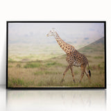 Framed acrylic wall art showcasing a striking giraffe design, featuring a black frame and vibrant colors, ideal for animal lovers and modern decor.