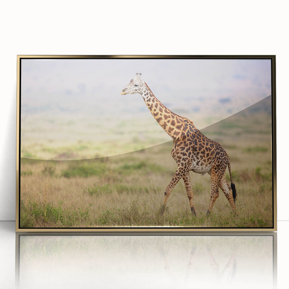 Framed wall art featuring a striking front view of a giraffe, showcasing intricate details and a gold-acrylic finish, perfect for animal lovers and modern decor.