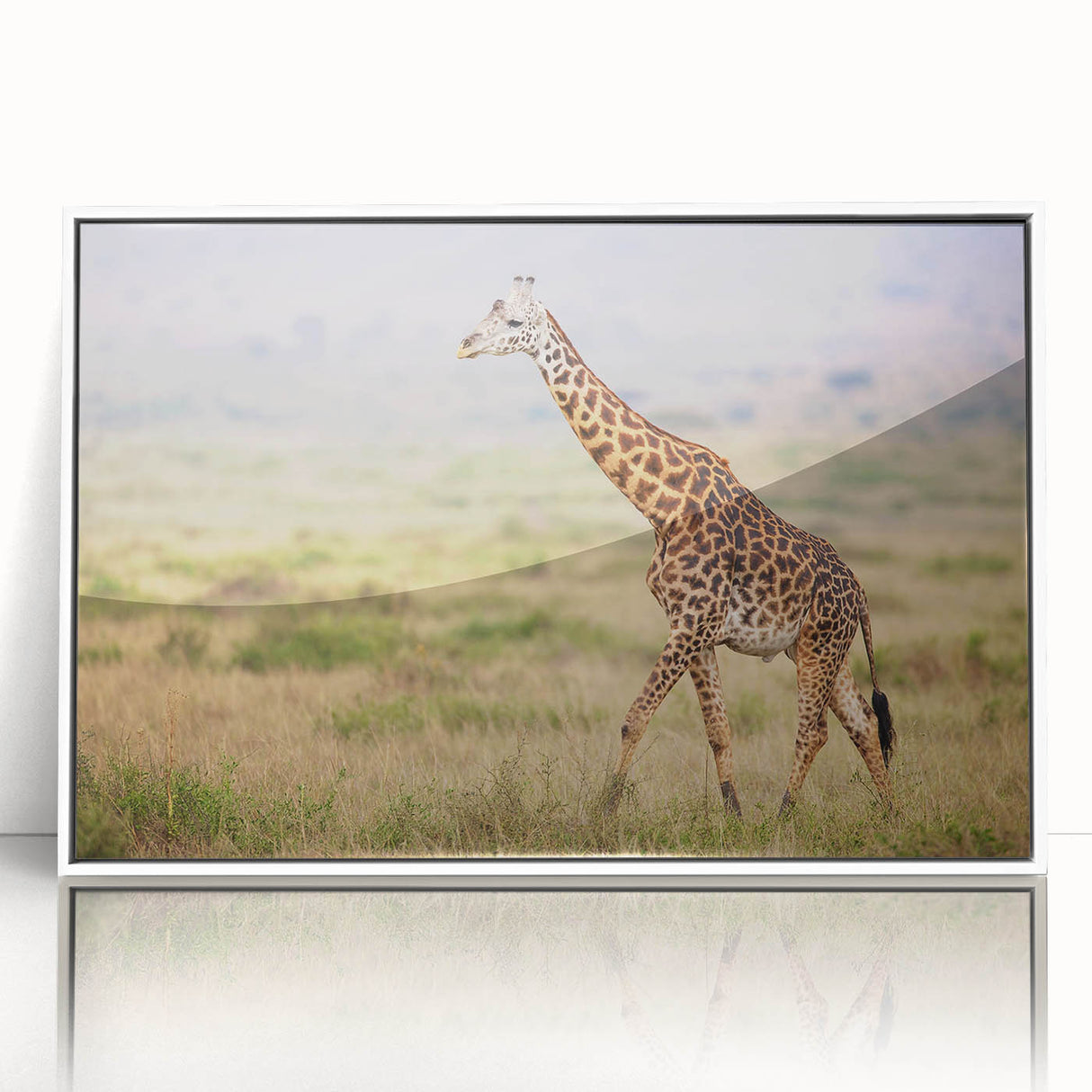 Framed wall art featuring a vibrant giraffe design against a white background, showcasing intricate details and colors, ideal for animal lovers and home decor enthusiasts.