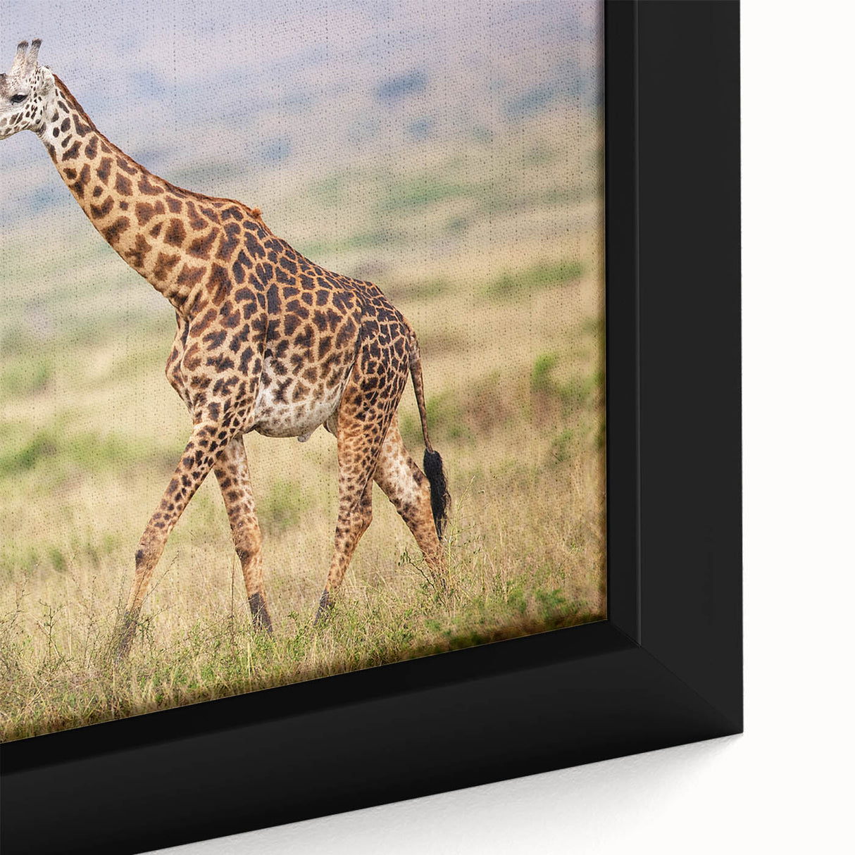 Close-up of a giraffe wall art design, showcasing intricate details and vibrant colors on a framed canvas, ideal for enhancing home decor with a wildlife theme.