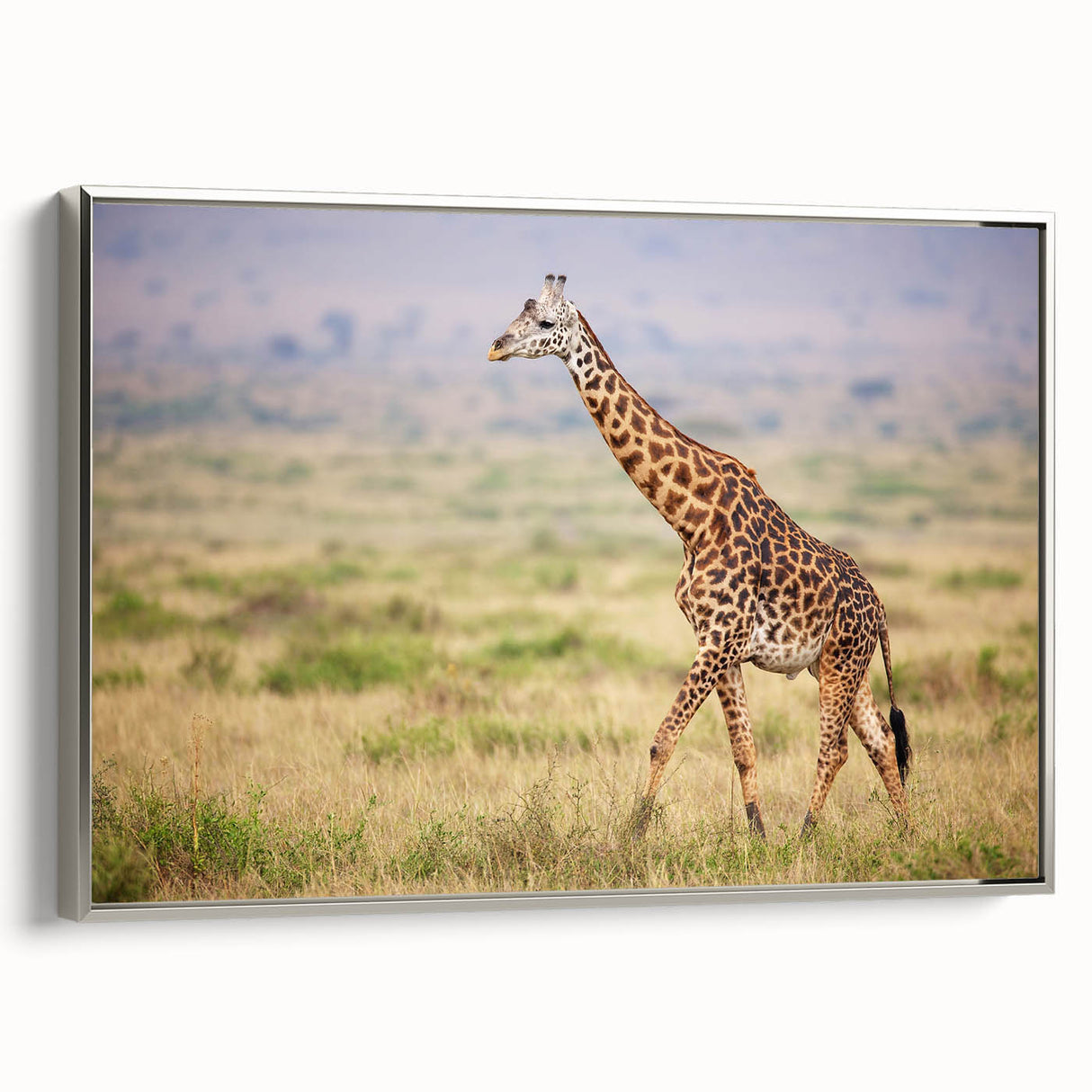 Framed canvas wall art featuring a silver side view of a giraffe, showcasing intricate details of its fur and graceful posture, perfect for wildlife decor.