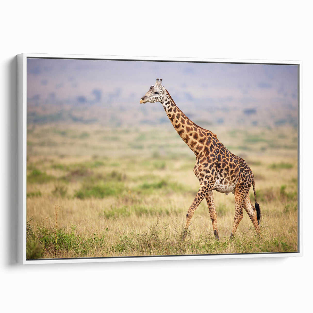 Framed canvas wall art featuring a side view of a giraffe in a natural setting, showcasing intricate details in the animal's fur and vibrant colors, ideal for wildlife decor.