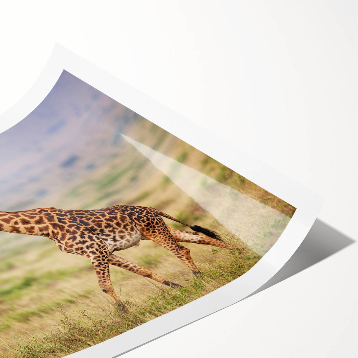 Giraffe wall art design showcasing vibrant colors and intricate patterns, perfect for wildlife enthusiasts. Ideal for home decor or a thoughtful gift.