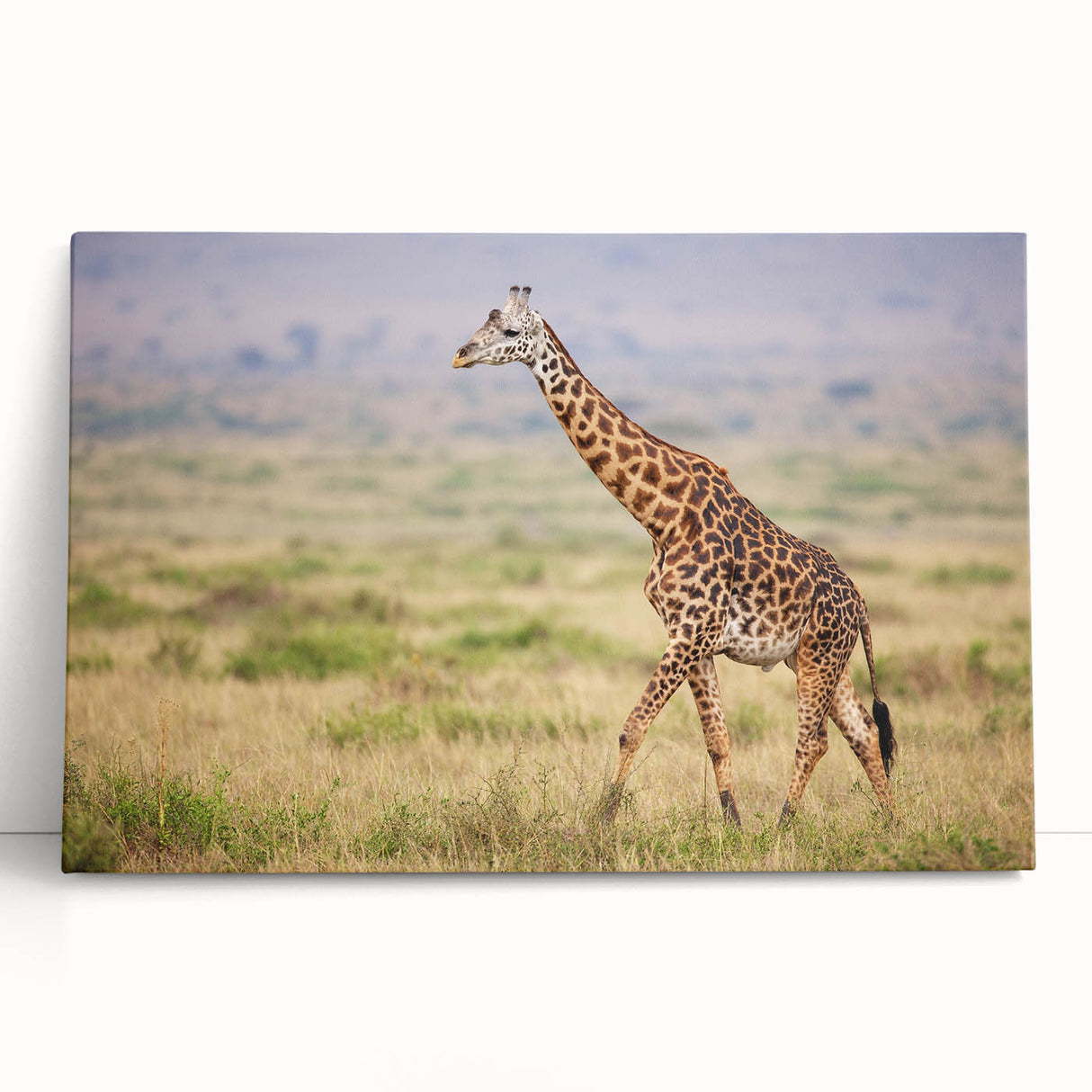 Colorful giraffe wall art design on stretched canvas, showcasing vibrant patterns and textures, perfect for adding a touch of wildlife decor to any room.