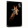 Side view of a vibrant giraffe design wall art piece made from acrylic glass, showcasing intricate details and colors, perfect for wildlife-themed decor.