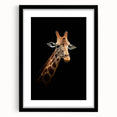 Giraffe wall art design featuring a vibrant, detailed illustration in a black frame with matting, ideal for animal lovers and home decor enthusiasts.