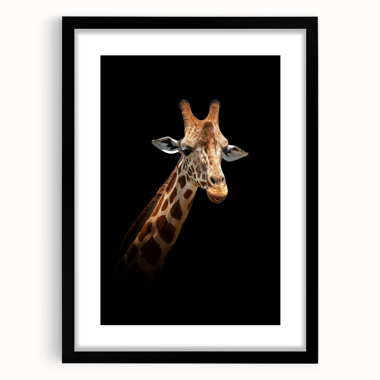 Giraffe wall art design featuring a vibrant, detailed illustration in a black frame with matting, ideal for animal lovers and home decor enthusiasts.
