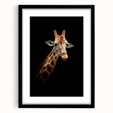 Giraffe wall art design featuring a vibrant, detailed illustration in a black frame with matting, ideal for animal lovers and home decor enthusiasts.