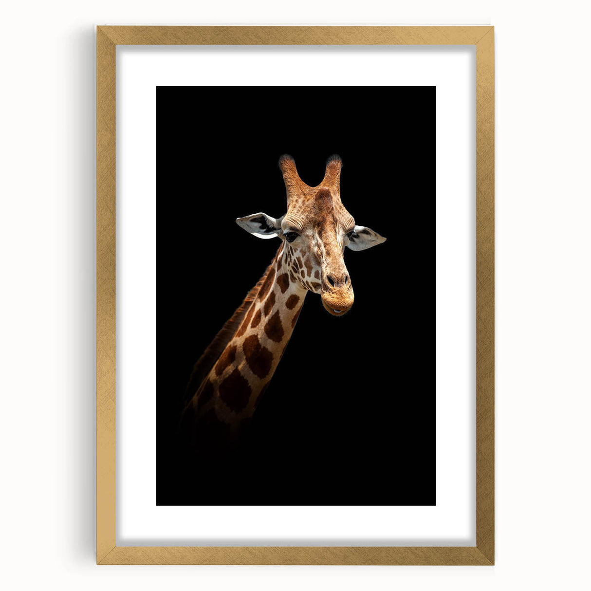 Giraffe wall art design featuring a vibrant illustration of a giraffe against a gold frame, perfect for adding a touch of wildlife elegance to home decor.
