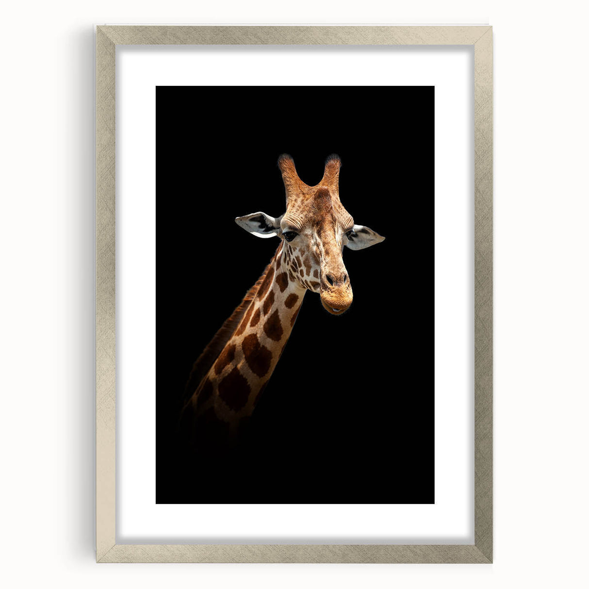 Framed wall art collection showcasing a stunning giraffe design in vibrant colors, set against a sleek silver frame, perfect for animal lovers and home decor enthusiasts.