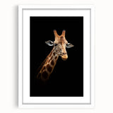Framed wall art showcasing a vibrant giraffe design in a contemporary style, featuring a white mat and sleek frame, perfect for animal-themed decor.